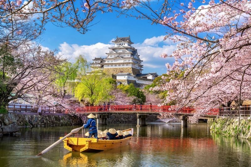 Osaka & Kyoto Full-Day Private Tour with English Driver - Arashiyama’s bamboo and the Fushimi Inari gates
