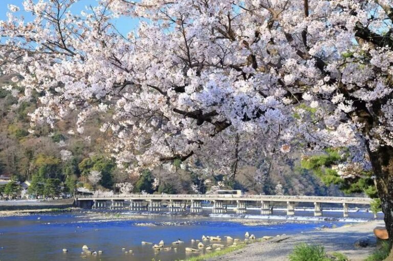 Osaka Kyoto & Nara Full-Day Private Tour with Customizable Itinerary - Nara Park and Todaiji: deer, temple, and a real choice