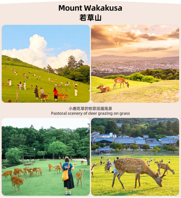 Osaka Nara Park and Mt. Ikoma Amusement Park Full-Day Guided Tour - Mt. Ikoma adds rides and a view