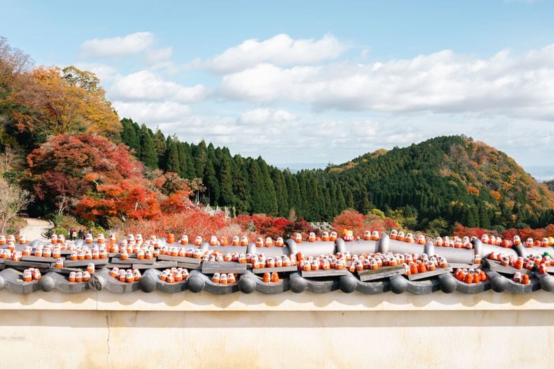 Osaka Todai-ji, Katsuo-ji, Arashiyama Full-Day Tour - Minoh Falls is the most seasonal part of the route