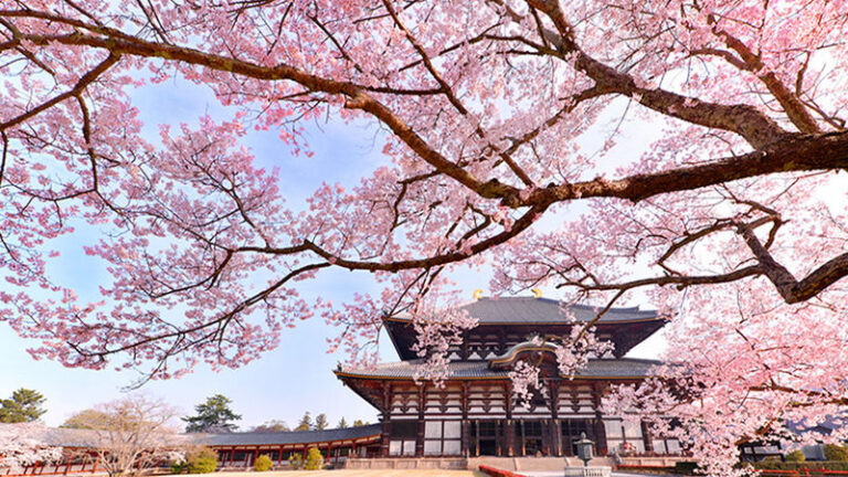 Osaka Wakakusa Mountain & Ikoma Sanjo Amusement Park Full-Day Tour - Ikoma Sanjo adds an amusement-park change of pace