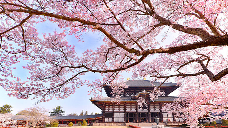 Osaka Wakakusa Mountain & Ikoma Sanjo Amusement Park Full-Day Tour - Ikoma Sanjo adds an amusement-park change of pace