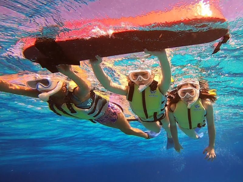 Phantom Island Landing & Snorkeling Half-Day Course - What the snorkeling stop offers