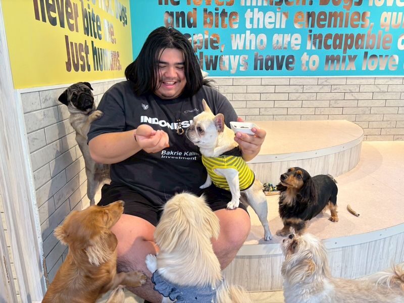 Play with Dogs at Dog Cafe Rio Harajuku[Dog Cafe Rio Harajuku] - What Happens During Your 30 or 60 Minutes