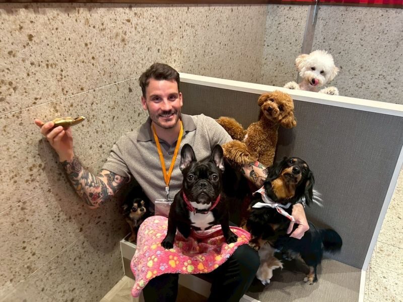 Play with Dogs at Dog Cafe Rio Kyoto[Dog Cafe Rio Kyoto] - What your time with the dogs looks like