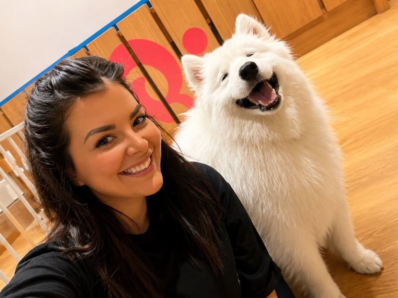 Play with Dogs at Dog Cafe Rio Shinjuku [Dog Cafe Rio Shinjuku] - Meeting the dogs, from Samoyeds to Chihuahuas