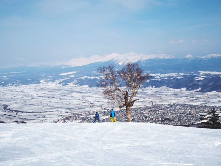 Private Customizable Day Tour to Sapporo & Otaru (From Sapporo) - Pick a trip that fits the day you want