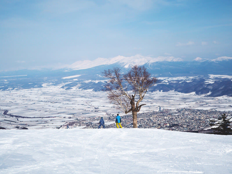 Private Customizable Day Tour to Sapporo & Otaru (From Sapporo) - Pick a trip that fits the day you want