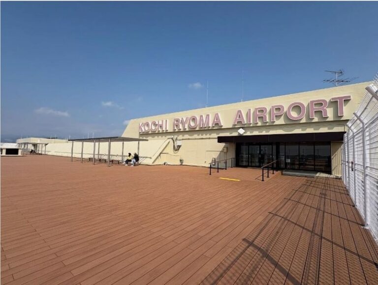 Private Transfer Kochi Ryoma Airport - What the ride is, and what it is not