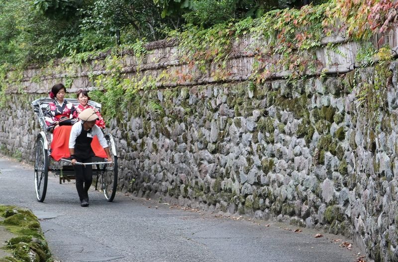 Rickshaw Experience in Yufuin - Why the 60-Minute Ride May Be the Sweet Spot