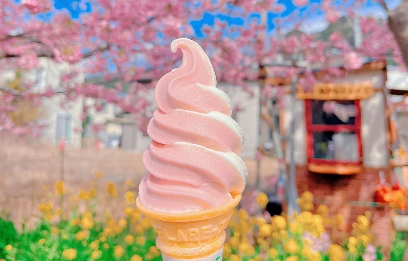 Sakura Season Small Group Tour of 9: Izu Cherry Blossom Viewing and Seaside Day Trip | Kawazu Cherry Blossom Festival & Izu Seaside Train & Jogasaki Coast | Chinese Service | Round-trip from Tokyo with Optional Hotel Transfer - Jogasaki Coast Shows Izu’s Rougher Side