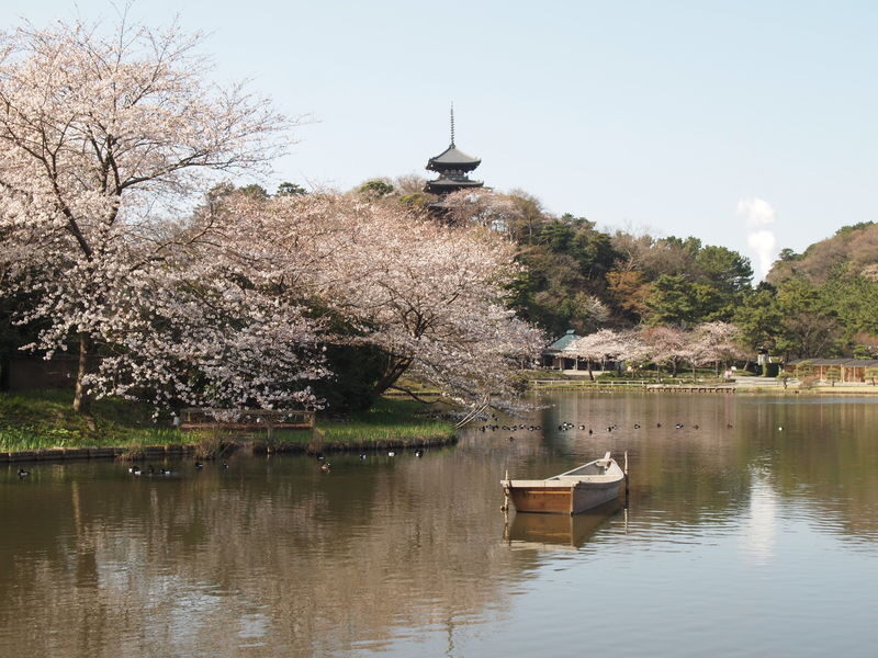 Sankeien Garden Admission - Look up to the pagoda and back down to its reflection