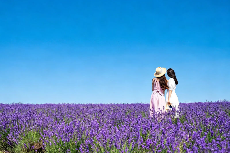 Sapporo Biei & Furano Private Full-Day Tour - Shirogane Blue Pond: the confirmed stop