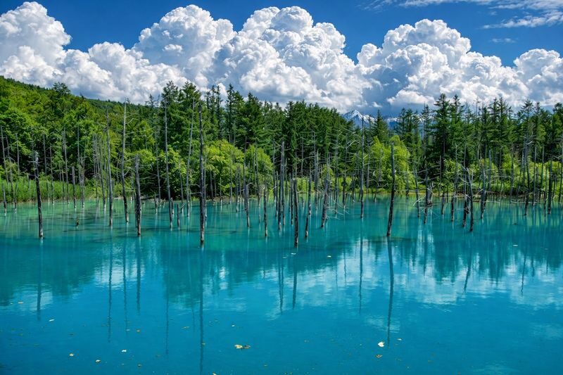 Sapporo Full-Day Furano & Biei Lavender Experience - Biei’s scenery and the rhythm of the route