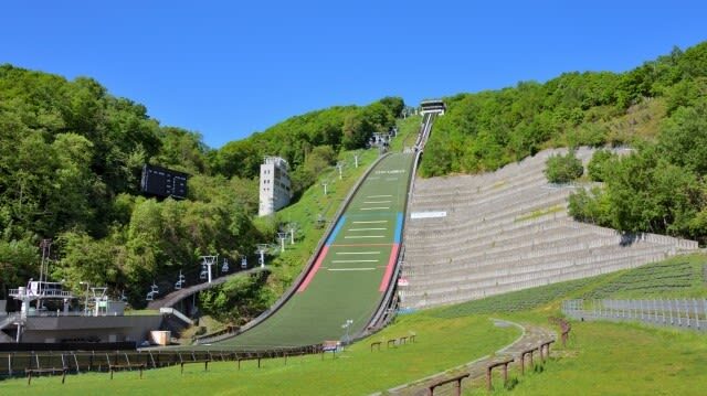 Sapporo Half-day Bus Tour and TV Tower Ticket (Multilingual Audio) - Hokkaido Shrine: a quiet first stop