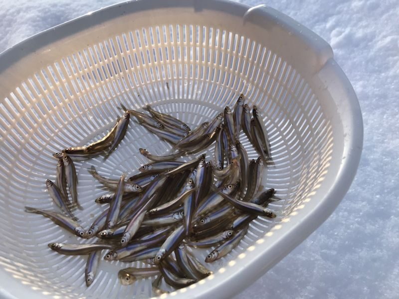 Sapporo Half-Day Smelt Fishing Experience with Transfers - The drive from Sapporo to Lake Shinotsu