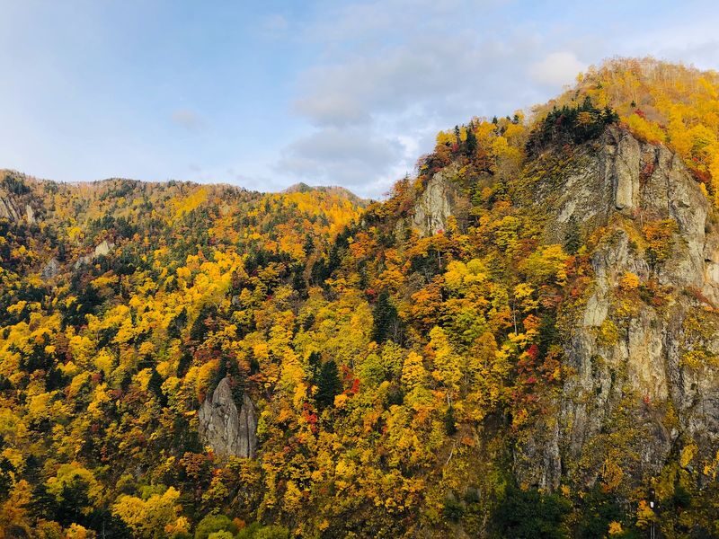 Sapporo Hill of the Buddha & Takino Autumn Cosmos & Mt. Hakkengenzan Genghis Khan BBQ & Jozankei Hoheikyo Autumn Leaves Day Trip - Takino’s cosmos and kochia bring seasonal color