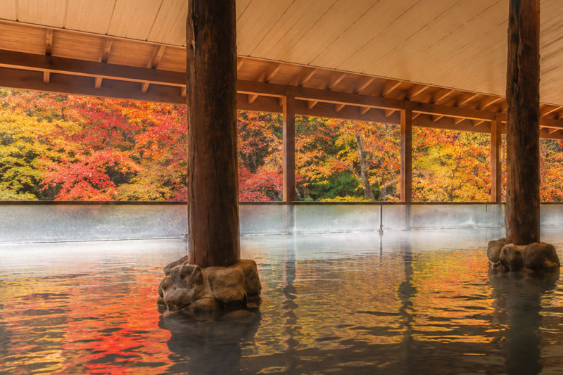 Sapporo Jozankei & Head Buddha One-Day Tour with Cultural Immersion - Hokkaido Jingu Shrine and Maruyama’s green calm