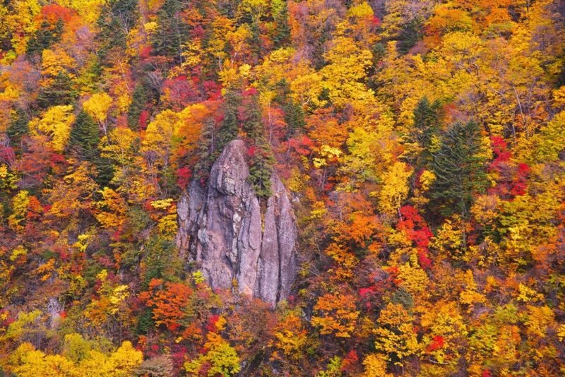 Sapporo Jozankei, Hoheikyo & Lake Toya Full-Day Tour with Autumn Leaves - Autumn color, with a little flexibility