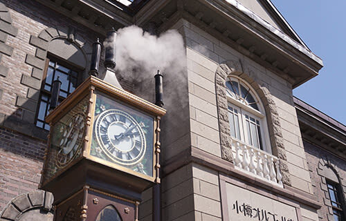 Sapporo Otaru Canal Full-Day Private Walking Tour - What the guide adds, and what the guide does not