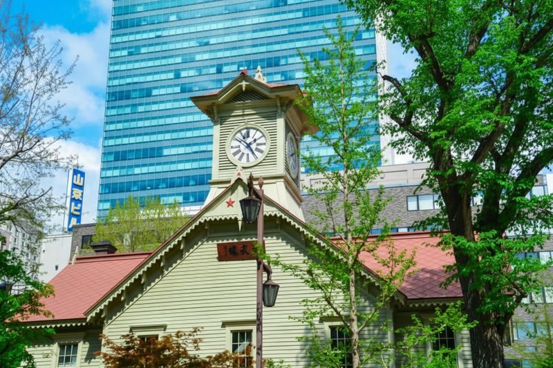 Sapporo: Private Custom Tour with Local Guide - Hokkaido Shrine and the region’s past
