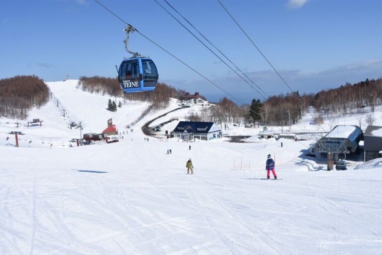 Sapporo Teine Ski Resort with Bus and Lift Ticket - Olympia or Highland: choose your starting point