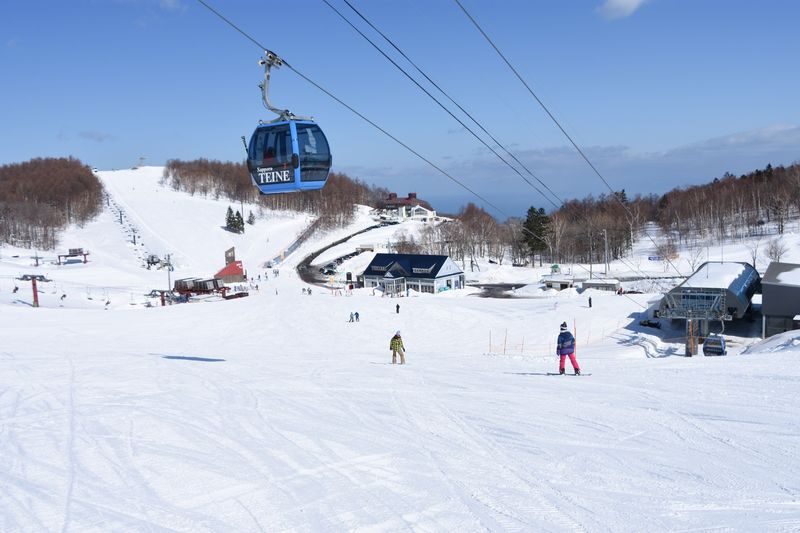 Sapporo Teine Ski Resort with Bus and Lift Ticket - Olympia or Highland: choose your starting point