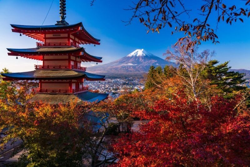 Scenic Mt. Fuji Day Tour from Tokyo: 5th Station, Matcha Experience - First stop: the 5th Station or Oishi Park