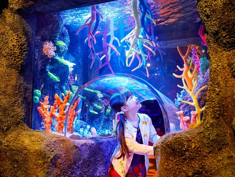 SEA LIFE Nagoya Aquarium Ticket - Start with the tanks, then slow down at the touch pools