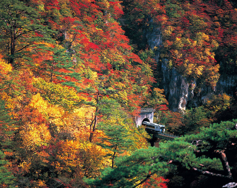 Sendai Naruko Onsen & Gorge Full-Day Small Group Sightseeing Tour - Key points