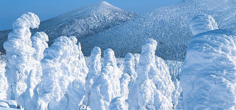 Sendai Zao Fox Village & Snow Monsters Full-Day Guided Tour - Looking for Zao’s snow monsters