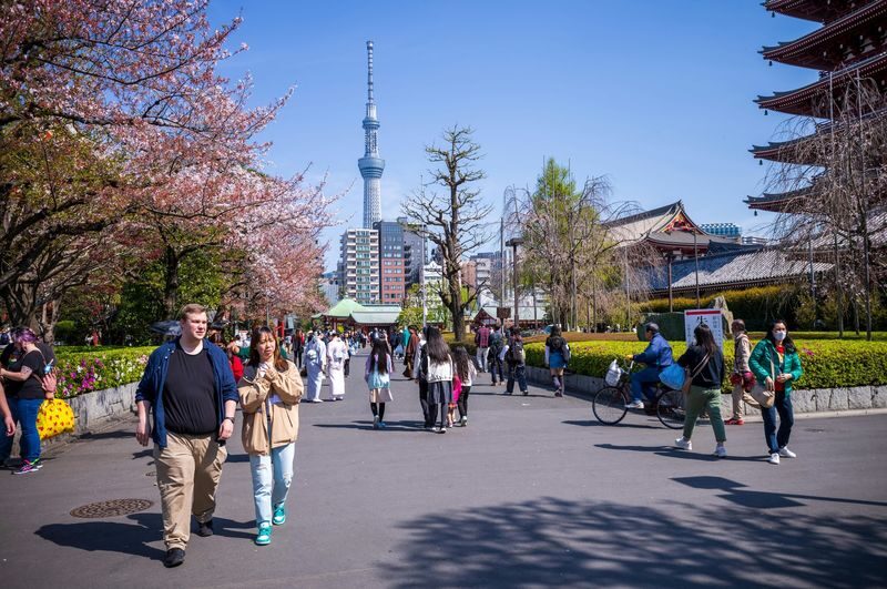 Sensoji Temple & Nakamise Shopping Street Half-day Walking & Street Food Tour - Sensoji Temple: More Than a Quick Photo Stop
