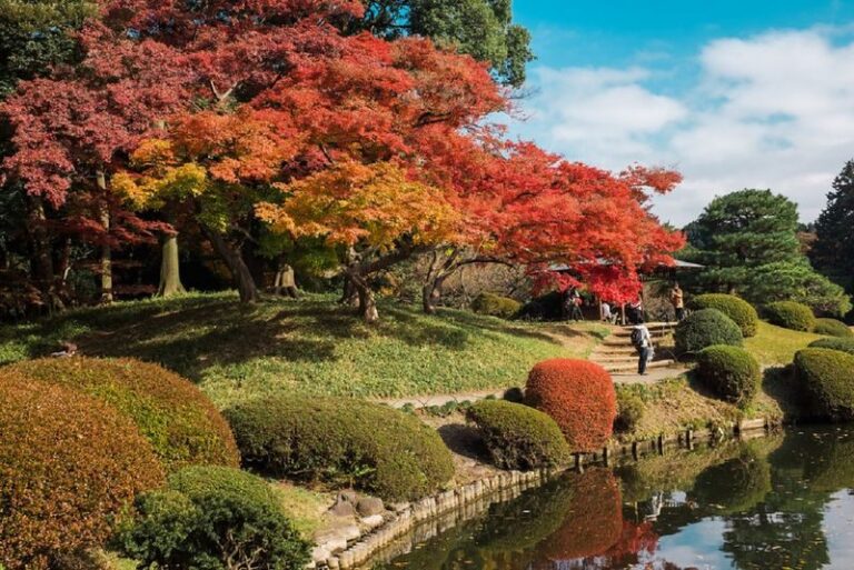 Shinjuku Gyoen National Garden - 2 Hours Walking Tour - Four areas, one guided walk