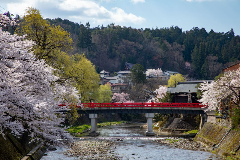 Shirakawa-go Day Trip | Optional Direct Access to Observation Deck + Hida Takayama Old Town | Optional Premium Small Group Tour for up to 9 People, Hotel Pickup and Drop-off | Departure from Nagoya - Takayama’s old streets reward a loose plan