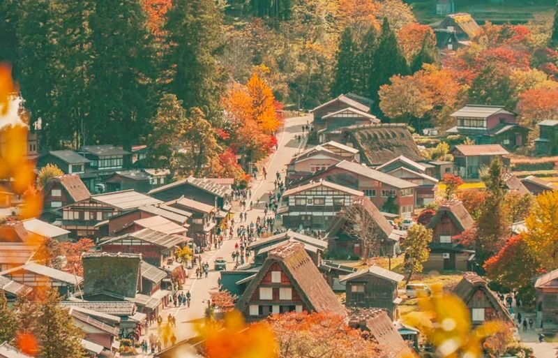 Shirakawa-go Gassho Village & Hida Takayama Day Tour (from Nagoya) - Takayama’s merchant streets and local food