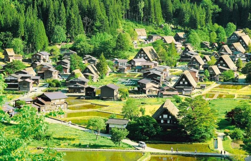 Shirakawa-go Gassho Village & Hida Takayama & Magome-juku & Inuyama Castle Two-Day Tour (Accommodation not included) - Day two: Inuyama Castle and the Kiso River