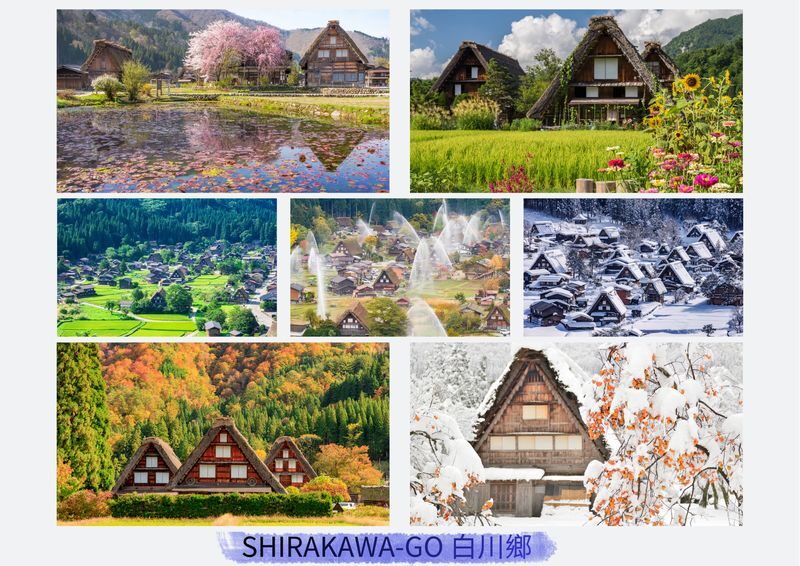 Shirakawa-go, Gujo Hachiman, and Hida Takayama Day Trip - Takayama: old streets and a self-planned lunch