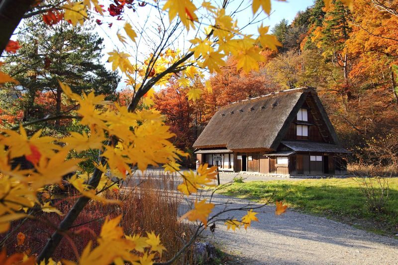 Shirakawa-go, Takayama and Gujo Hachiman Day Tour from Nagoya - Shirakawa-go: the day’s main event
