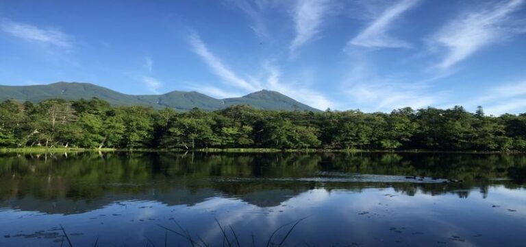 Shiretoko Goko Lakes Half-Day Guided Walking Tour - What the trail asks of you