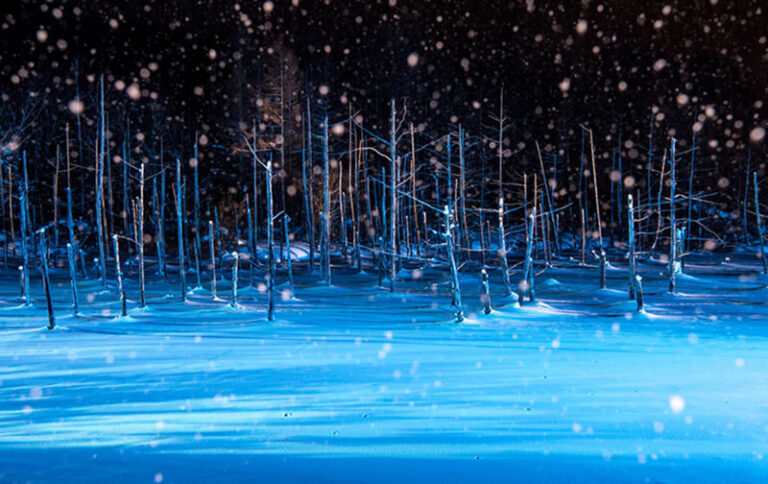 Shirogane Blue Pond & Ningle Terrace Dual Illumination & Dusk Christmas Tree & Shirahige Waterfall & Shikisai-no-Oka Winter Dual Illumination Day Tour - Shikisai-no-oka: snowmobile excitement or a quiet wait