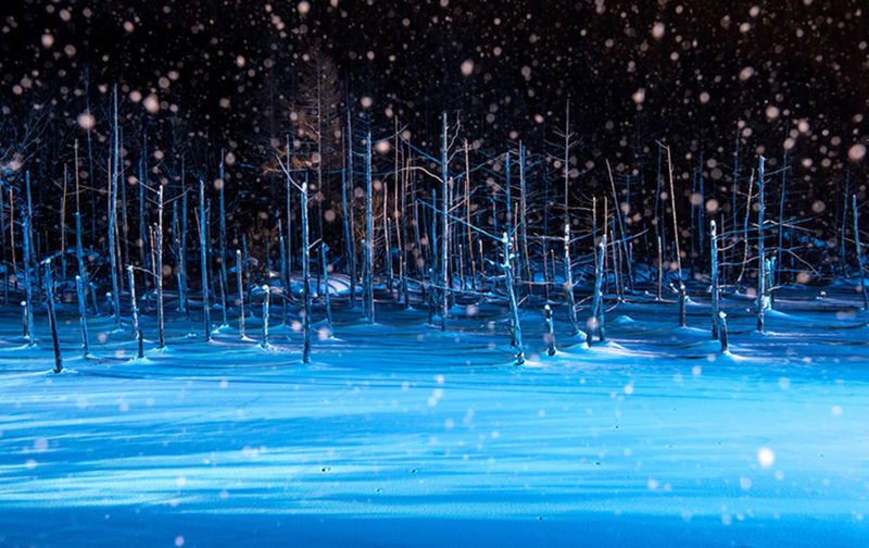 Shirogane Blue Pond & Ningle Terrace Dual Illumination & Dusk Christmas Tree & Shirahige Waterfall & Shikisai-no-Oka Winter Dual Illumination Day Tour - Shikisai-no-oka: snowmobile excitement or a quiet wait