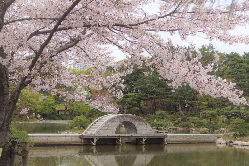 Shukkeien Garden Admission Ticket (Hiroshima) - How to spend an hour or two