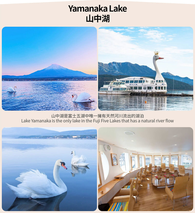 Small Group Tour of Tokyo, Mount Fuji, and Lake Yamanaka (including cycling) - Lake Yamanaka: the part that adds motion
