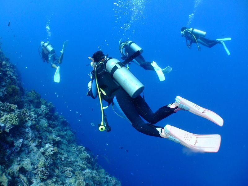 Snorkeling, Diving, & Fun Diving Experience in Kerama Islands - From Miegusuku Port to the first swim