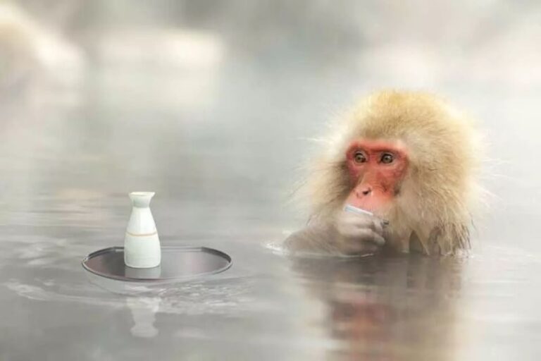 Snow Monkey and Shiga Kogen Roman Museum Trip with Lunch Buffet - The long bus ride to Nagano