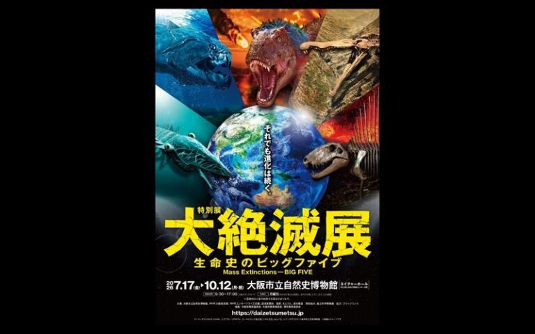 Special Exhibition: Mass Extinctions - BIG FIVE - At a glance