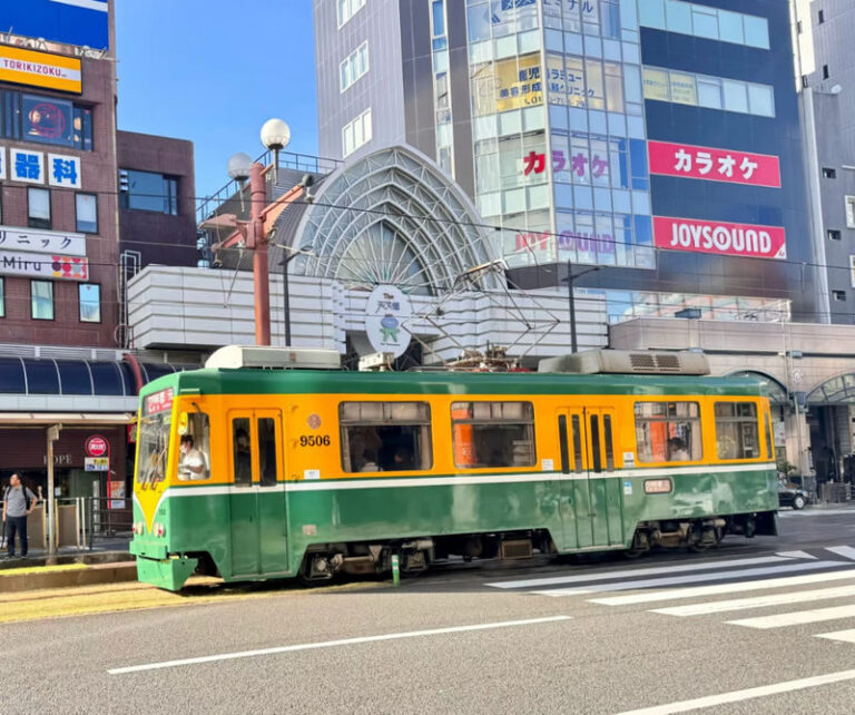 Spectrum of the Seas, Caribbean: Cruise shore excursion day trip/Kagoshima Port/Sakurajima/Aquarium/Sengan-en/Tenmonkan Street/Seamless port transfer for shore excursions/Chinese-speaking tour guide - Sakurajima: a close look at a living volcano