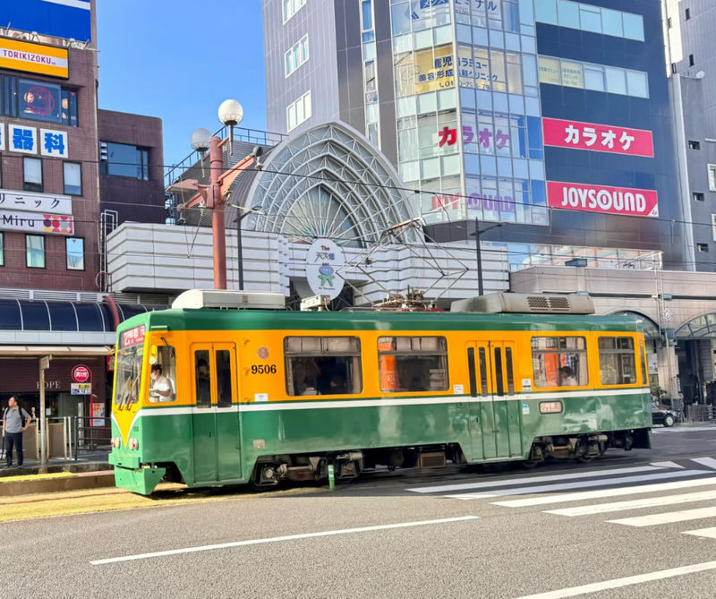 Spectrum of the Seas, Caribbean: Cruise shore excursion day trip/Kagoshima Port/Sakurajima/Aquarium/Sengan-en/Tenmonkan Street/Seamless port transfer for shore excursions/Chinese-speaking tour guide - Sakurajima: a close look at a living volcano