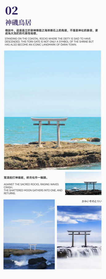 Spring Limited: Ashikaga Flower Park Night Wisteria & Hitachi Seaside Park Baby Blue Eyes & Kamisukisa Torii Archway Day Trip | Departure from Tokyo - Hitachi Seaside Park: the blue-hour centerpiece