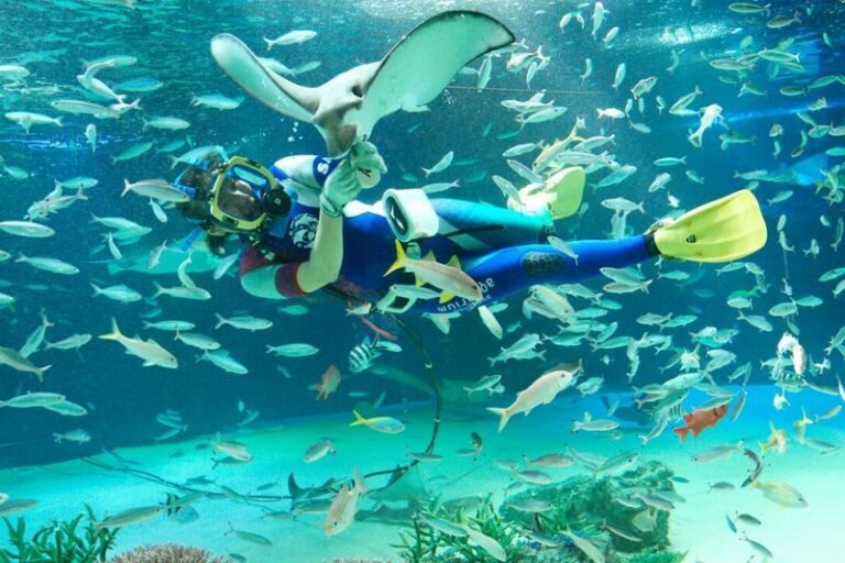 Sunshine Aquarium and SKY CIRCUS Sunshine 60 Observatory Ticket - Choose your timing with care